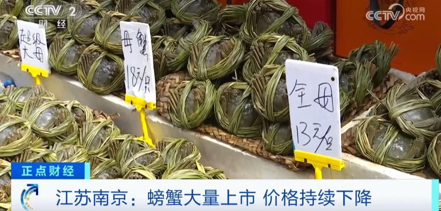 10元就能买一只螃蟹跌出“白菜价”销售商：“一天大概卖两三千只”尊龙凯时人生就是博·(中国)官网